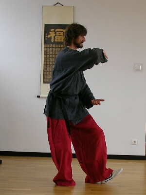 Das Tai Chi Ch'üan der Shaolin-Schule, das Drachentor öffnen - Bilder aus der Form