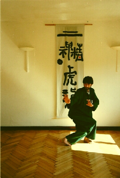 Kung-Fu - der Kampfkunst-Weg