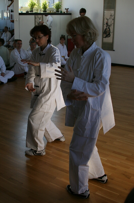 Das Tai Chi der Wudang-Berge ist von �berraschender Einfachheit und Nat�rlichkeit, die Bewegungen sind rund und flie�end und lassen die Prinzipien von Yin und Yang allzeit erkennen. Wie ziehende Wolken und flie�endes Wasser bewegt man sich und kultiviert dabei im Inneren Essenz, Qi und Geist und �u�erlich die Muskeln, Knochen und Haut. Die Leitbahnen werden ge�ffnet und belebt, Geist und K�rper sind gleichzeitig beteiligt.