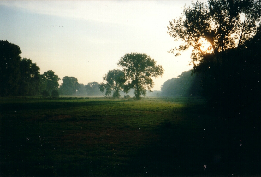 Wiese im Morgen-Nebel ... der Fr�he Morgen wird f�r daoistische �bungen bevorzugt, wenn es darum geht Yang-Qi, positive Energie aufzunehmen ....