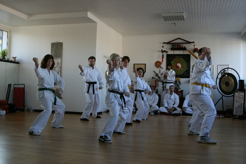 Kung-Fu im Tao-Chi. der Rote Drache kehrt um; ein Bild aus dem Drachenstil des Kung-Fu