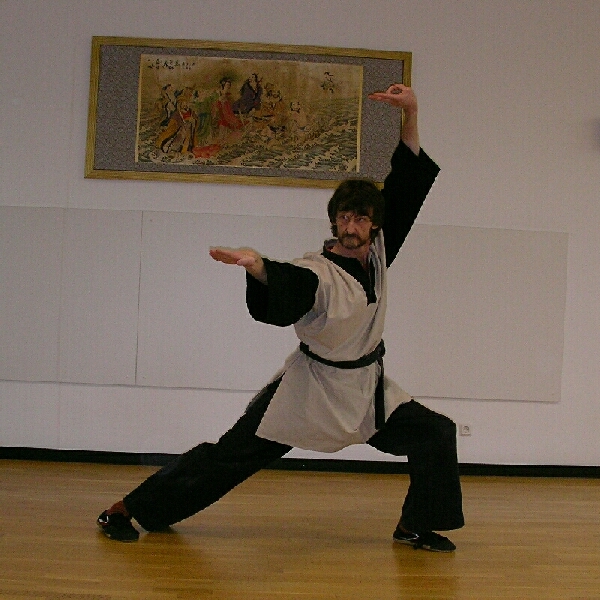 Die weiße Schlange gleitet über den Fluß. Grundpositionen im Kung-Fu. Shaolin Basics