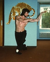 der Leopard,das Erdelement im Spiel der 5 Tiere (wu xing gong)