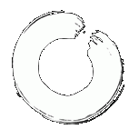 Tao-Chi ... unterwegs sein, auf Wegen zum Ziel, f�r Herz - mit Verstand. Danke f�r Ihr Interesse. Sie k�nnen unseren Text lesen - wenn Sie jetzt wollen.